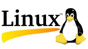 Linux İşletim Sistemleri ve Dağıtımları