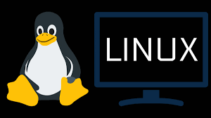 Linux İşletim Sistemleri