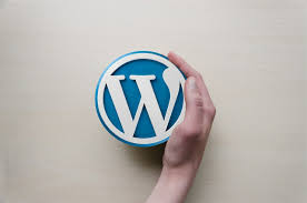 WordPress için En İyi Hosting Seçimi Nasıl Yapılır?