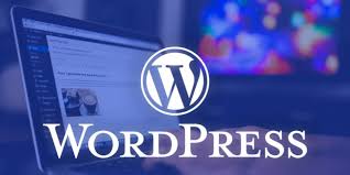 WordPress Hosting Seçimi